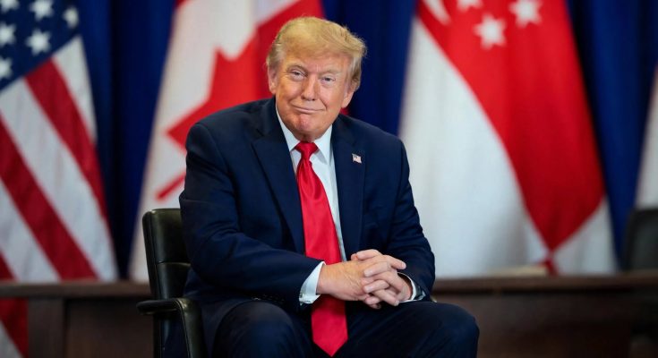 Trump impeachment articles